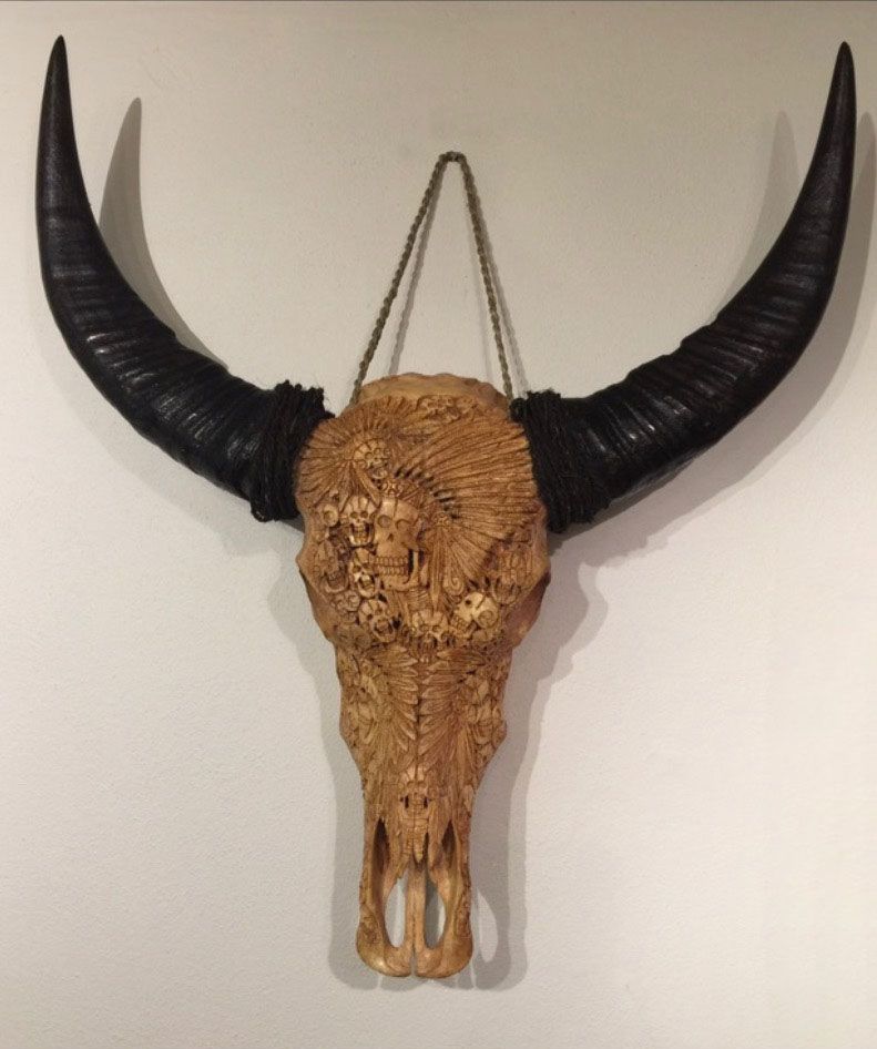 Dyreskalle hengende på vegg